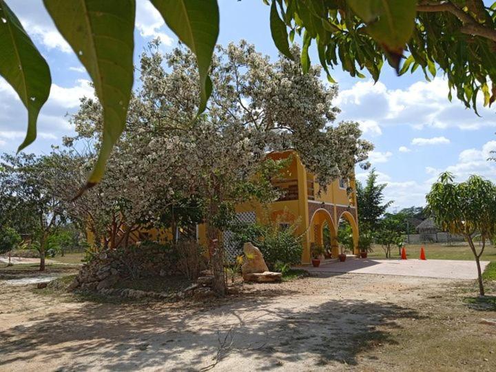 Ecohotel Shalom Вальядолид Экстерьер фото